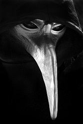 Avatar de 